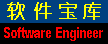Software Engineer